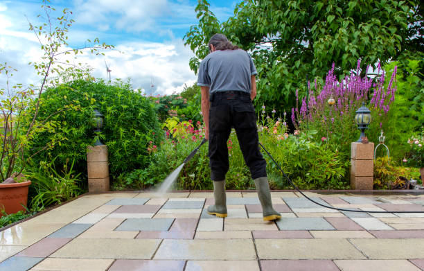 Best Animal Enclosure Cleaning  in Princeton, MN